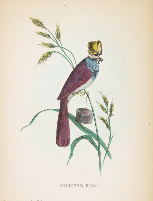 Comic illustration by H. L. Stephens of human-animal hybrid