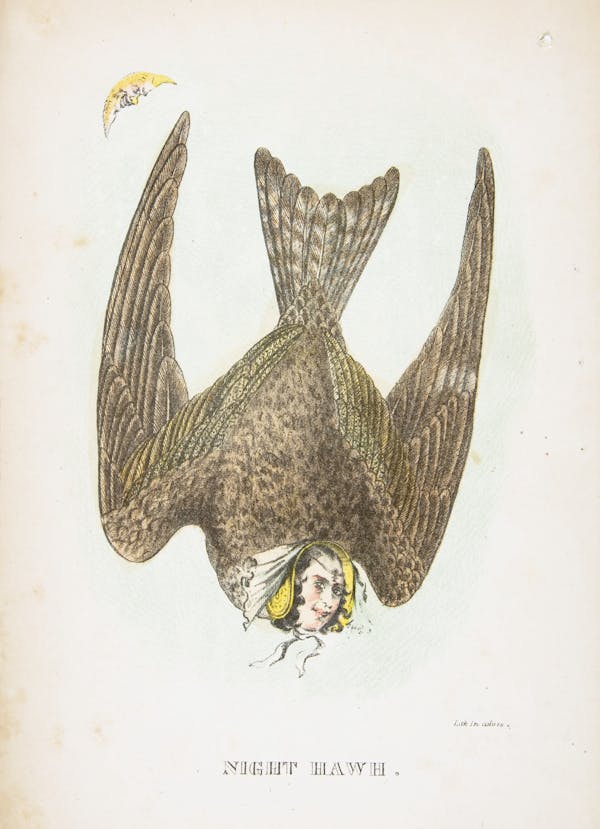 Comic illustration by H. L. Stephens of human-animal hybrid