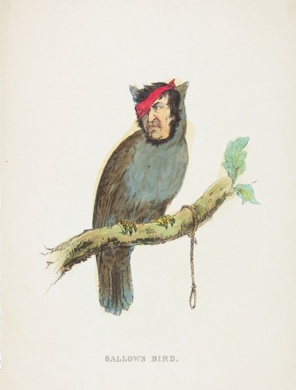 Comic illustration by H. L. Stephens of human-animal hybrid