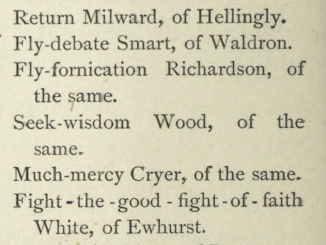 I Dub Thee “Fly-Fornication”: *Curiosities of Puritan Nomenclature* (1880)