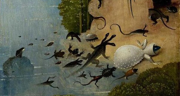 Details From Bosch S Garden Of Earthly Delights Ca 1500 The
