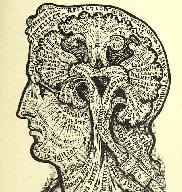 Victorian Illustrations Public Domain Victorian Illustrations Public Domain