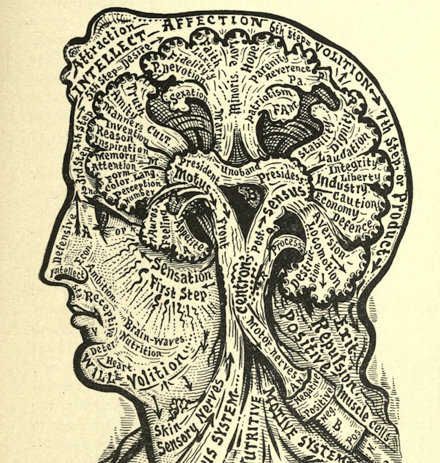 Diagrams from Dr Alesha Sivartha’s Book of Life (1898)