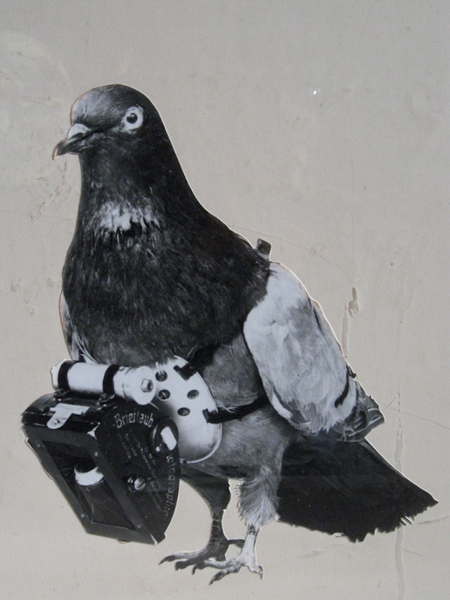 Dr Julius Neubronner’s Miniature Pigeon Camera
