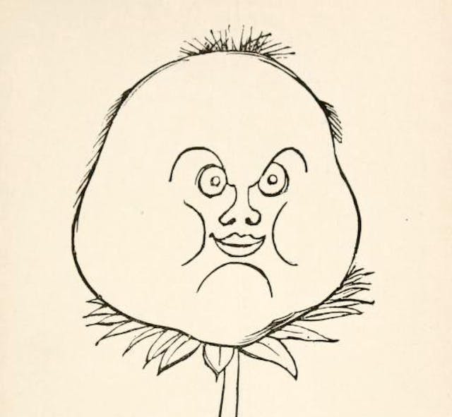 Edward Lear’s Nonsense Botany (1871–77)