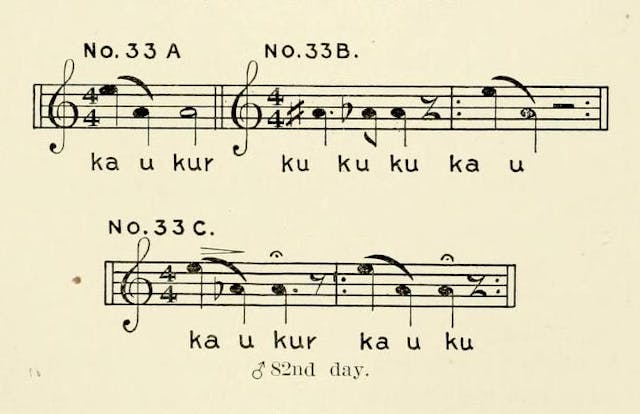 The Expressions of Emotion in the Pigeons (1909–11)