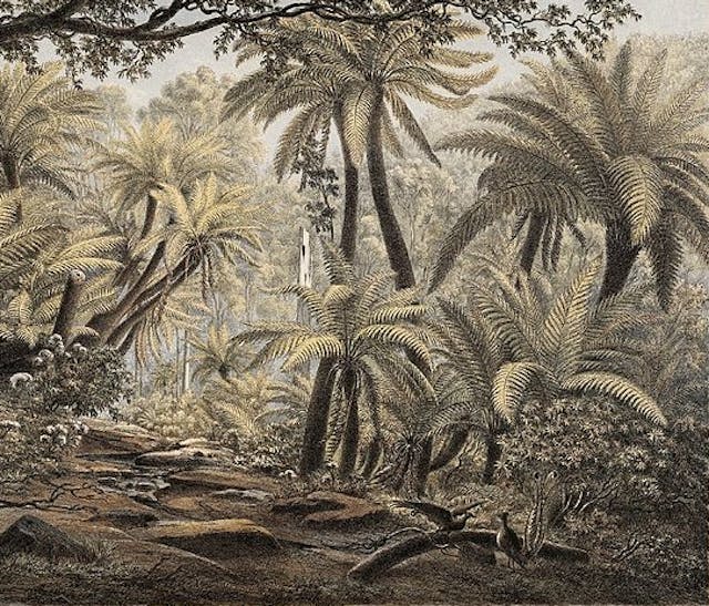 Eugène von Guérard’s *Australian Landscapes* (1867)