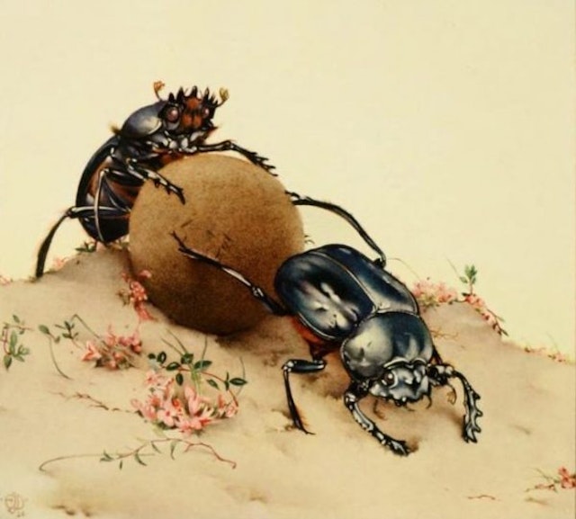 Fabre’s Book of Insects (1921)