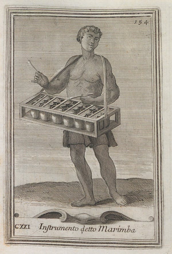 illustration from filippo buonanni's harmonic cabinet