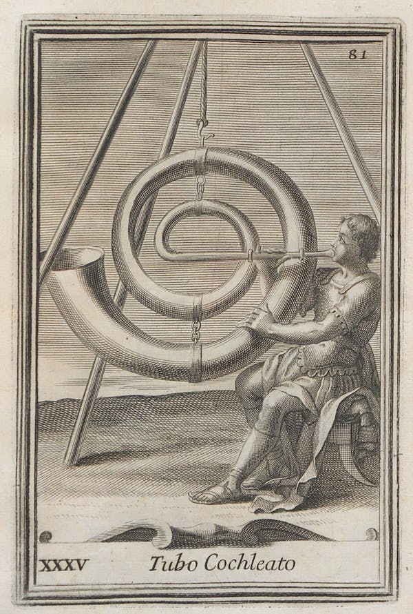 illustration from filippo buonanni's harmonic cabinet