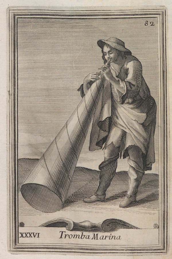 illustration from filippo buonanni's harmonic cabinet