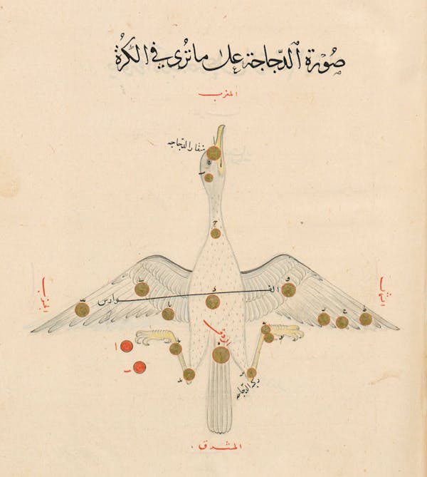 Illustration from a 15th-century Arabic book of constellations