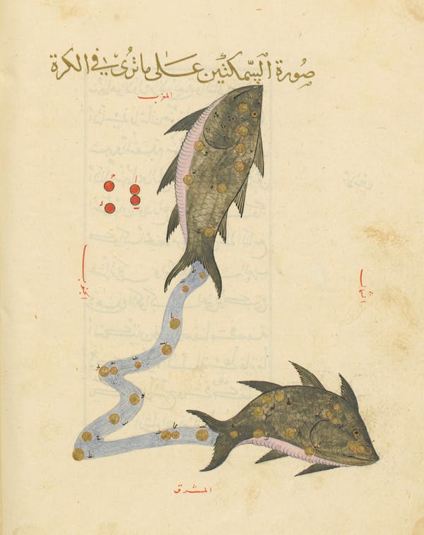 Illustration from a 15th-century Arabic book of constellations