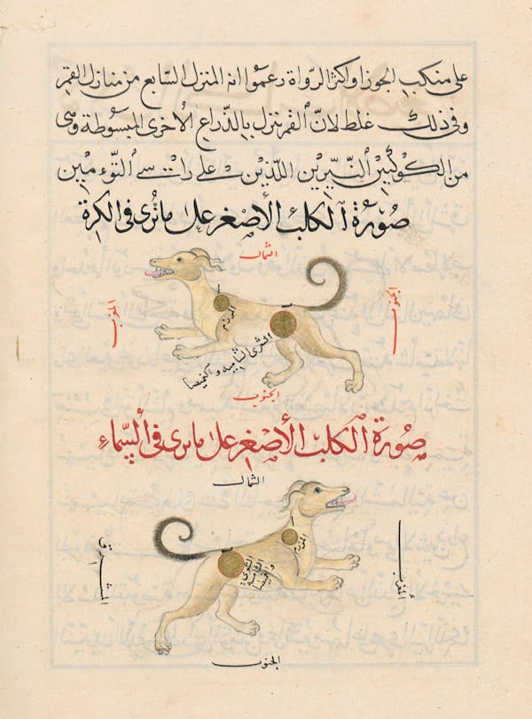 Illustration from a 15th-century Arabic book of constellations