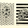 Flatfish Camouflage Experiments (1911)