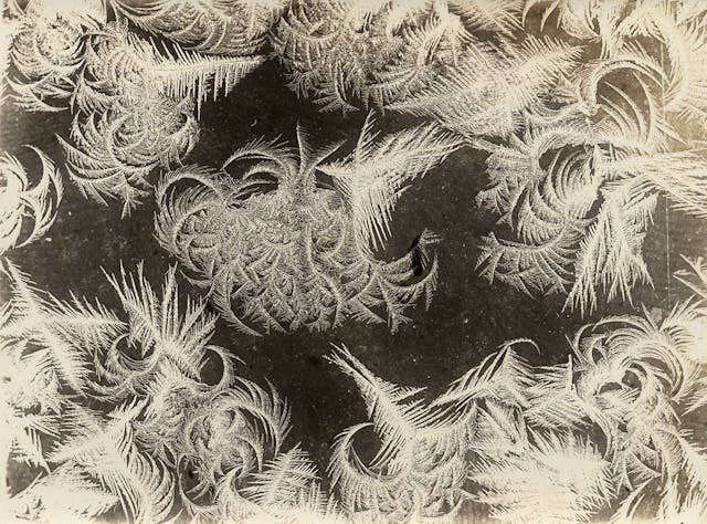 *Frost Flowers on the Windows* (1899)