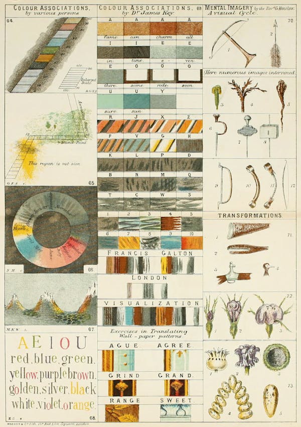 Visualisation of synaesthesia