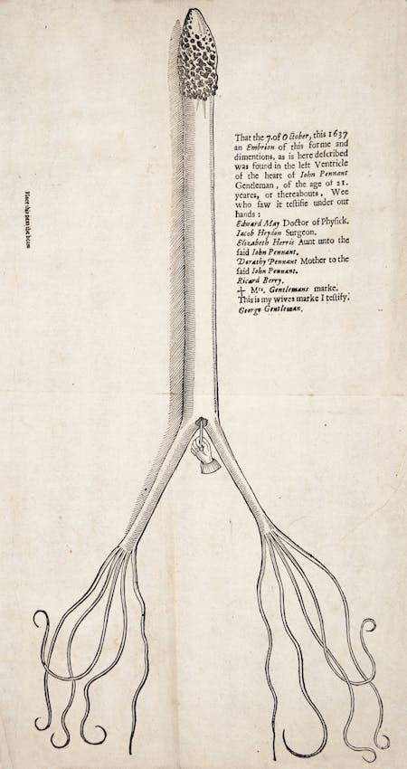 heart serpent image