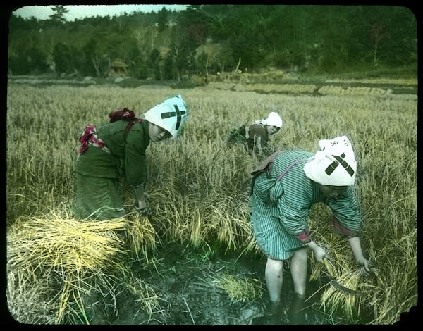 hand-colored japan photograph