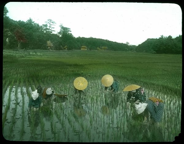 hand-colored japan photograph