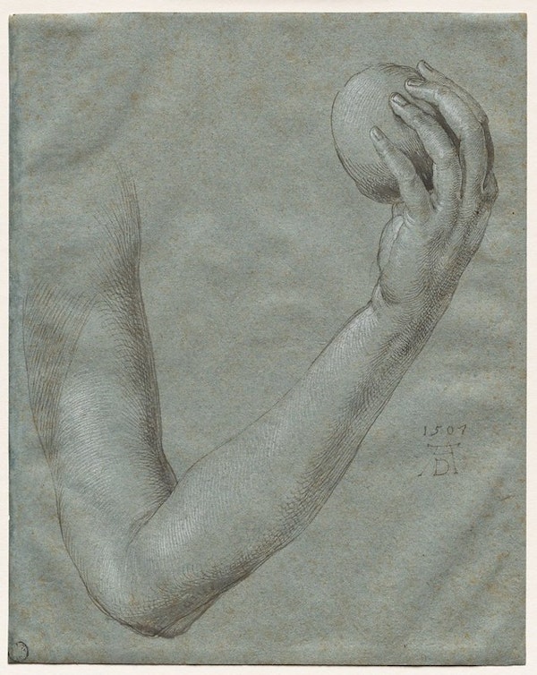 Arm of Eve Dürer