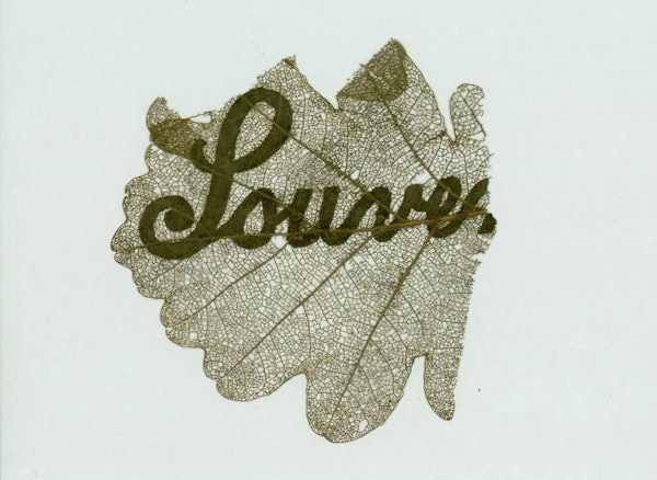 Name carved in leaf