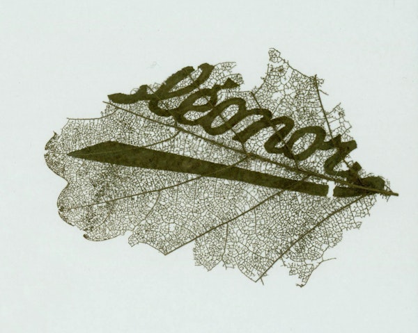Name carved in leaf