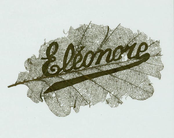 Name carved in leaf