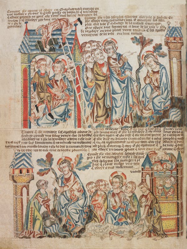 Miniature from the Holkham Bible