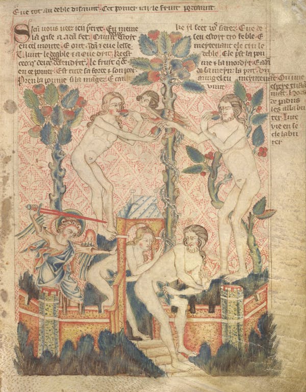 Miniature from the Holkham Bible