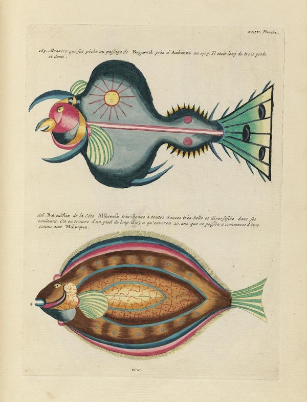 print, Dream Fish  Canadian Museum of History