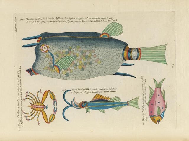 Images from the First Colour Publication on Fish (1754)