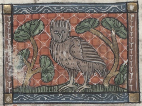 manuscript illustration from jacob van maerlant der naturen bloeme