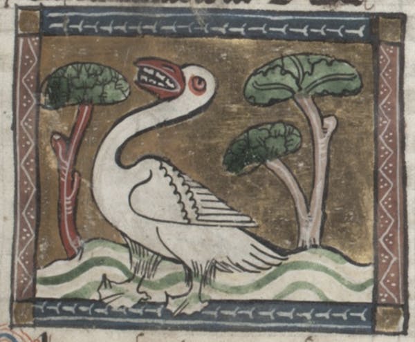 manuscript illustration from jacob van maerlant der naturen bloeme