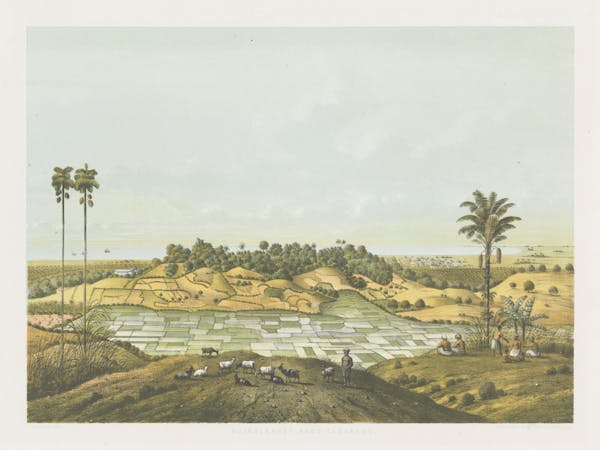 Landscape lithograph of Java