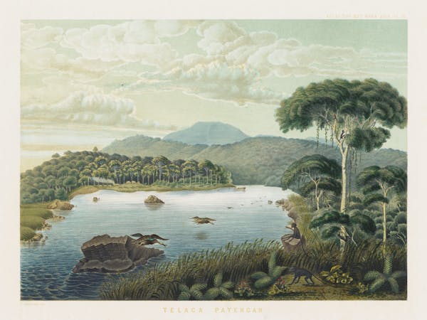 Landscape lithograph of Java