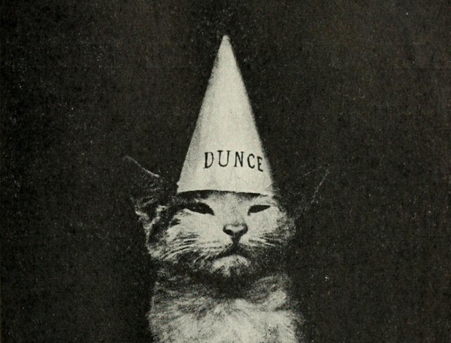 Kittens and Cats: A First Reader (1911) — Cats and Captions before the Internet Age