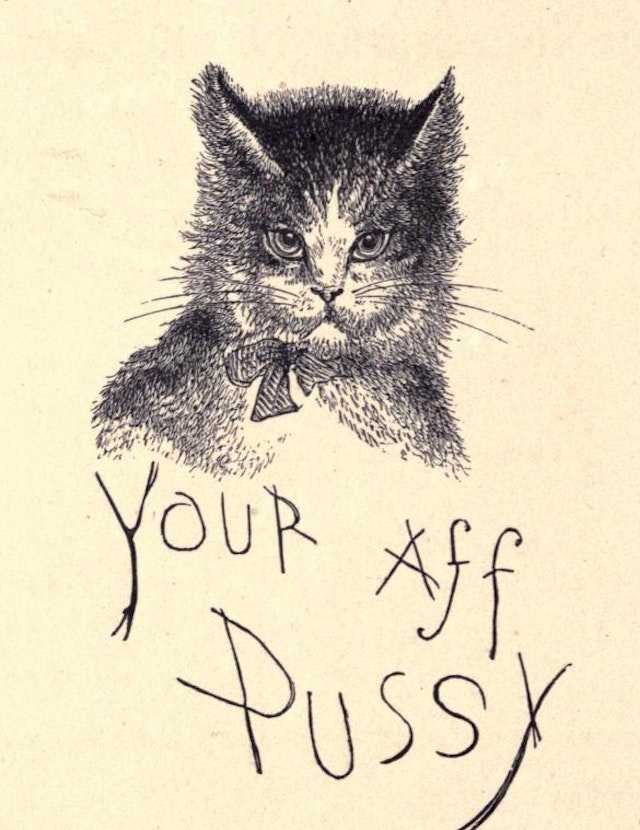 Letters From A Cat (1879)