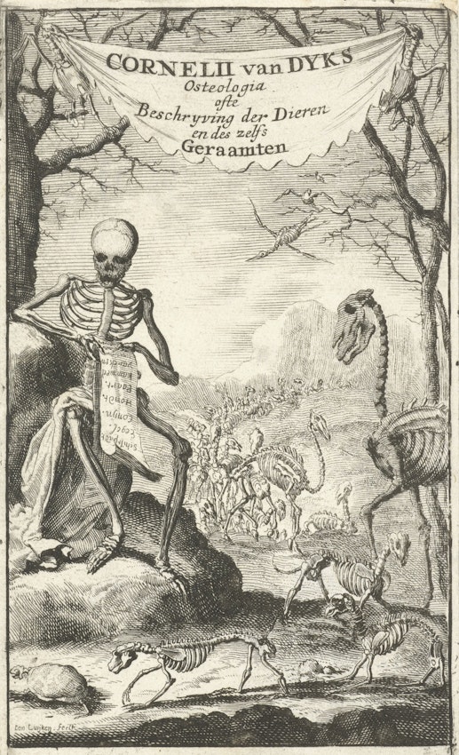 Etching of animals marching toward skeleton