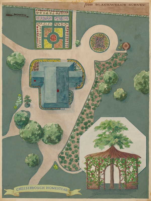 Watercolour illustration of estate