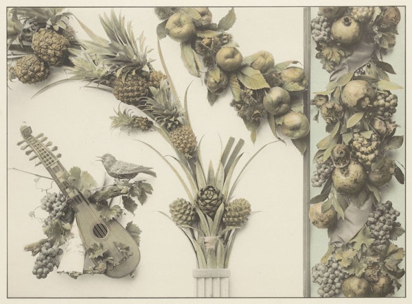 martin gerlach decorative images of plants and animals