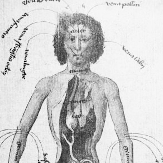 Medical Imagery of the 15th Century