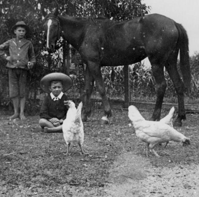 Morning on the Farm (1897)