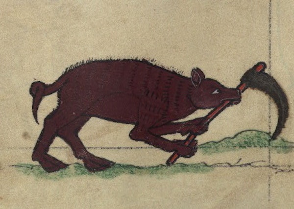 Boar digging a grave, detail from fol. 80v.