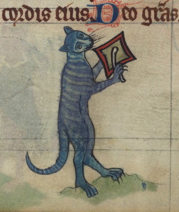 Cat beating a cymbal, detail from fol. 78v.