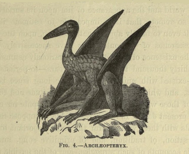 Mythical Monsters (1886)