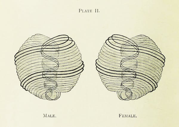 chemistry diagram