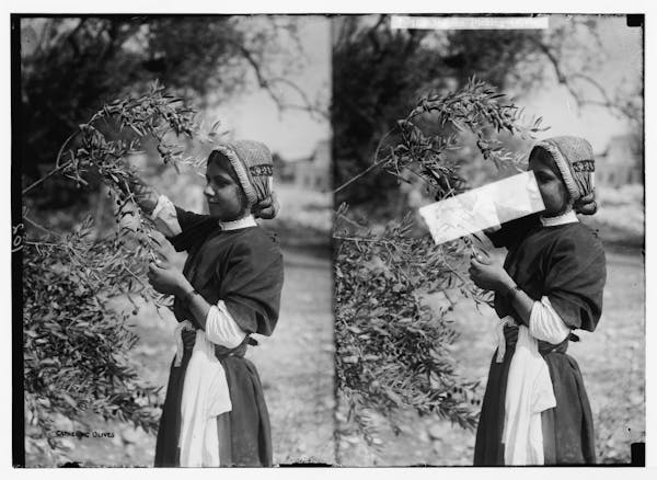 Photograph of Palestinian life