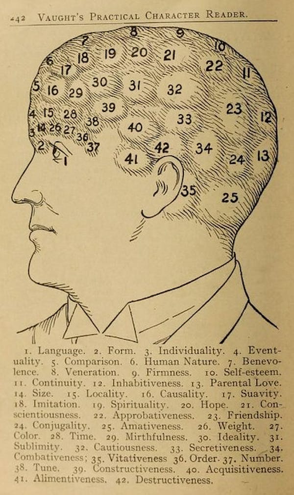 Phrenology Diagram