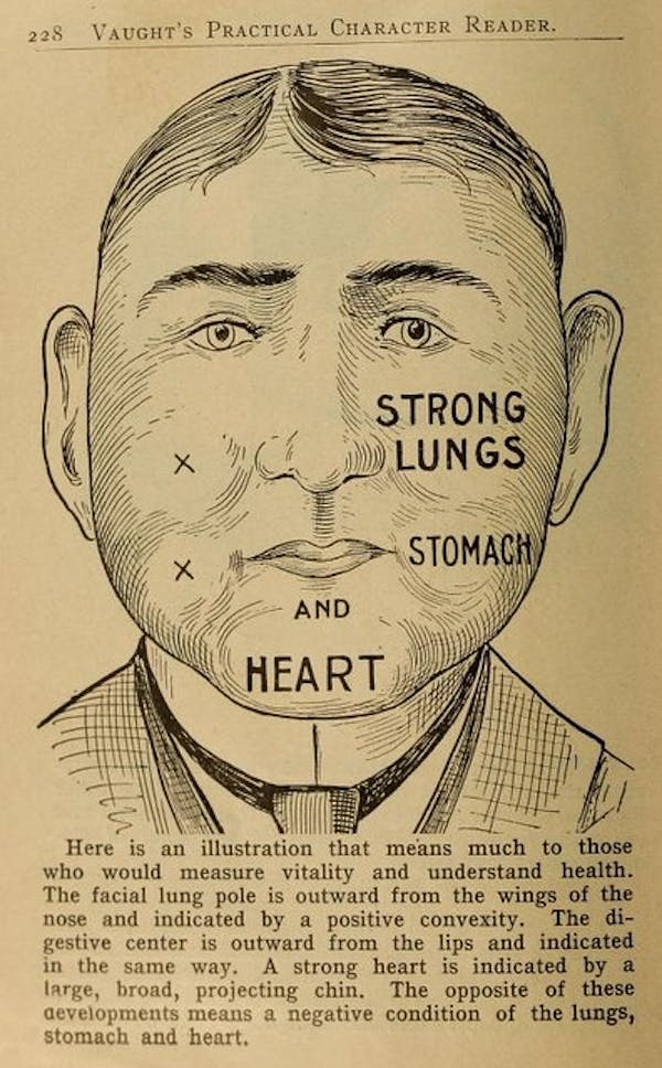 Phrenology Diagram